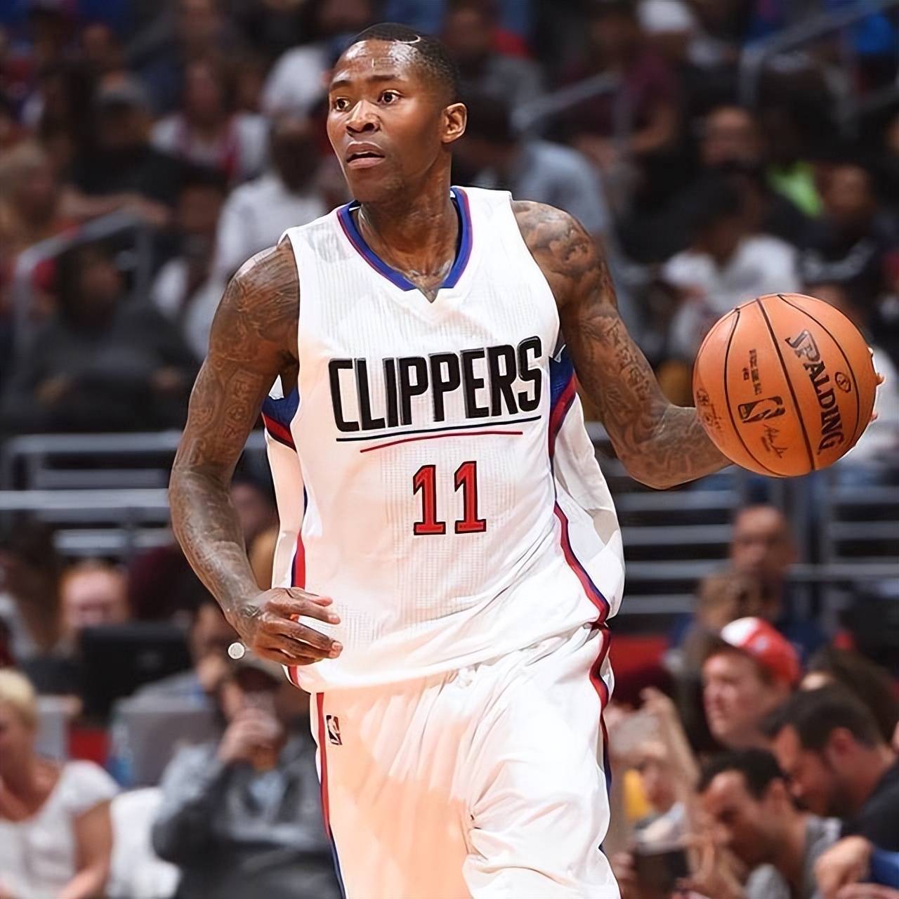 依然选择坚 依然选择坚