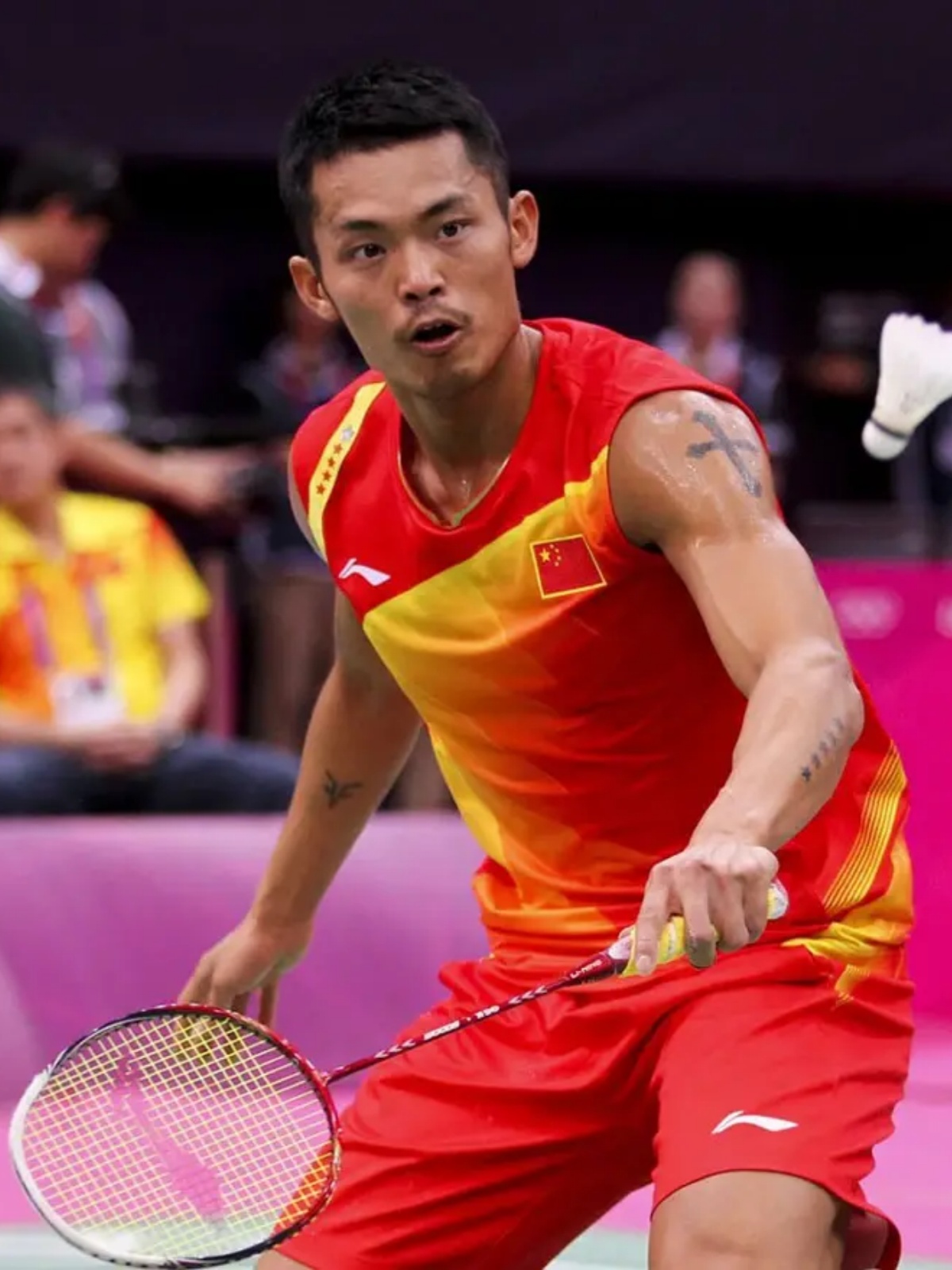 方面的巨大 方面的巨大