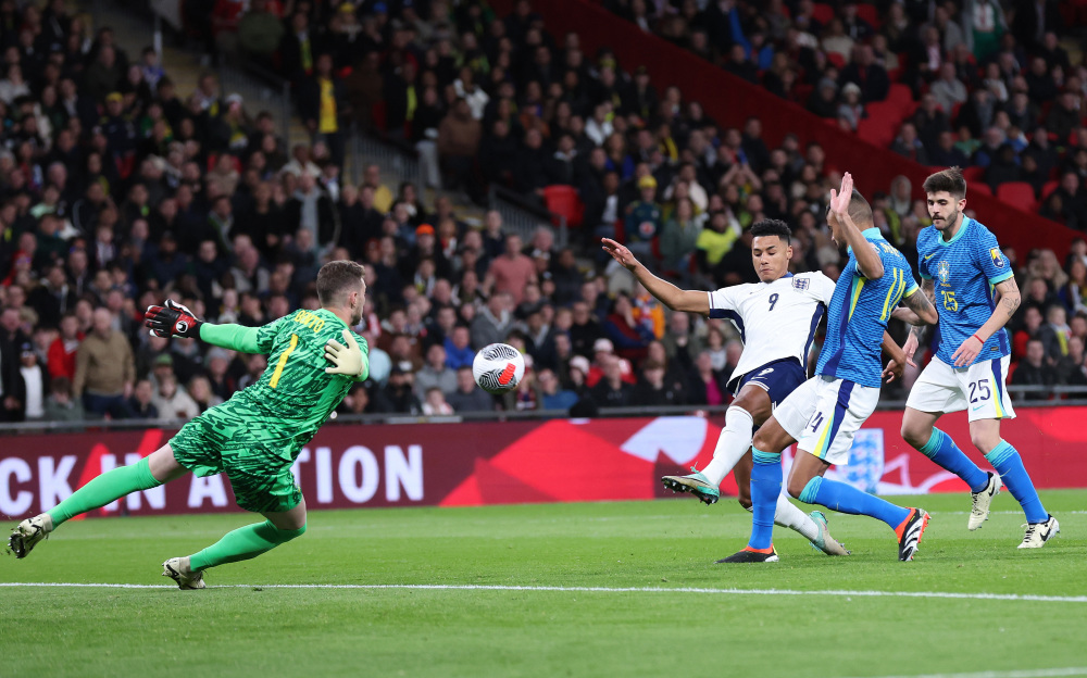 新鲜血液并 新鲜血液并